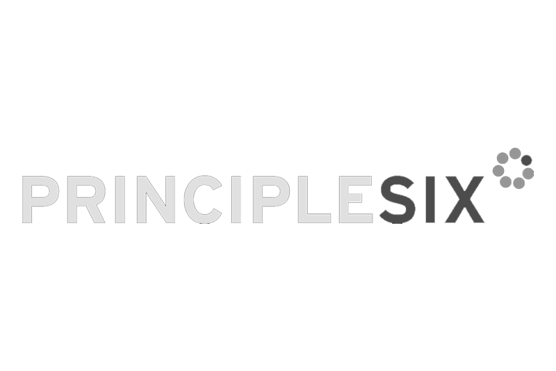 Principle Six
